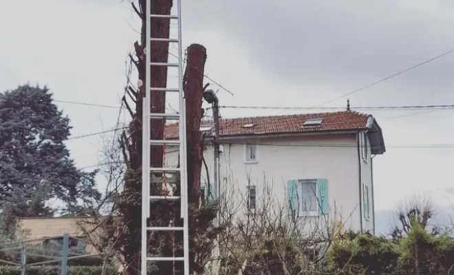 Élagage, Eybens, Perrier Aménagement